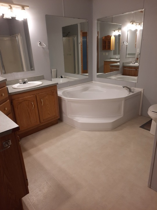 Bathroom vanity and tub