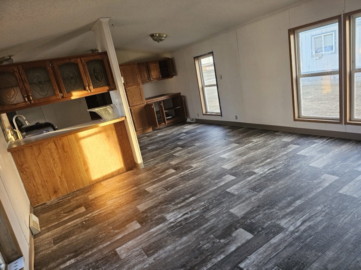 Kitchen and living area